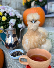 Load image into Gallery viewer, Poultry Pumpkin Spice
